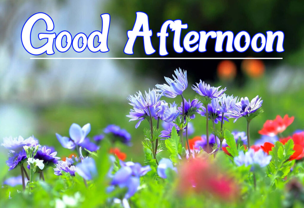 good afternoon time